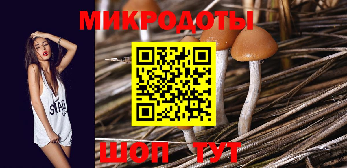Ноябрьск  как найти наркотики  Вход с VPN  Галлюциногенные грибы Magic Shrooms 